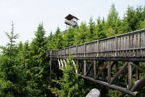 Wipfelwanderweg