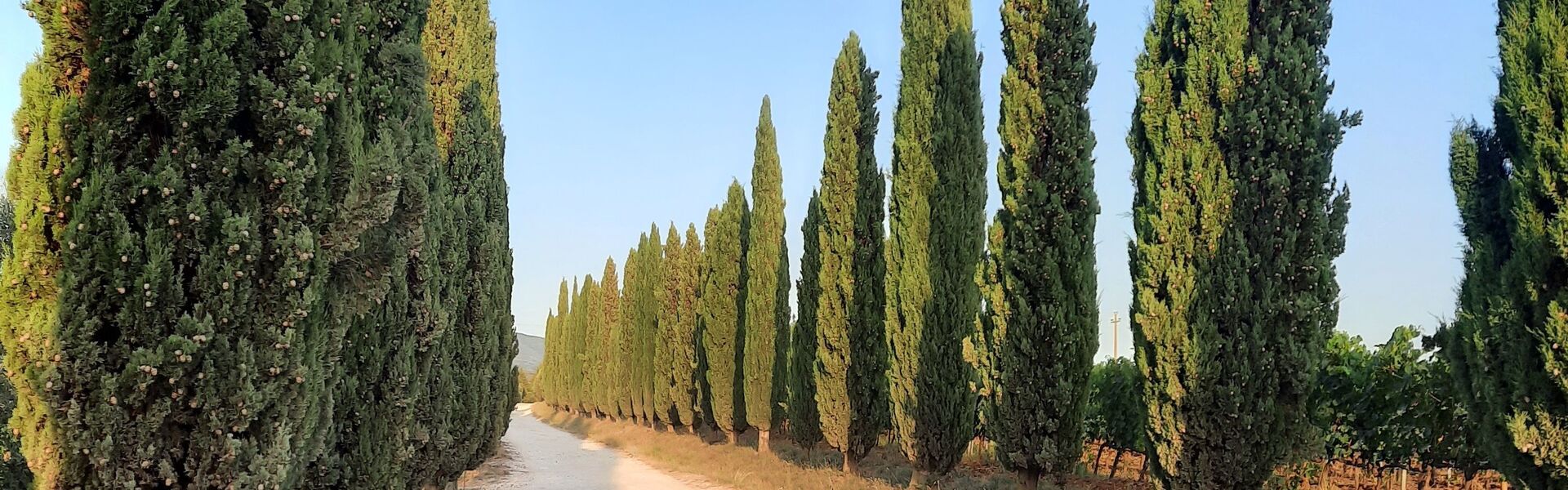 Het échte Italië op familiecamping Le Capanne