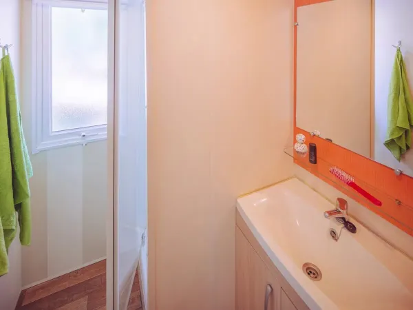 Roan Comfort Plus Lounge badkamer met douche en wasbak.