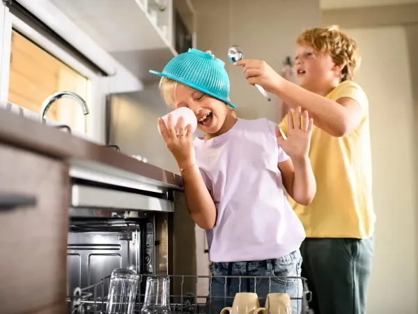 De Roan Comfort Plus Relax beschikt over een vaatwasser.