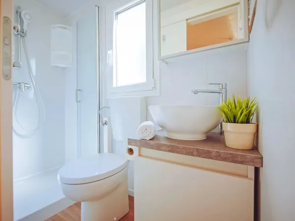 De Roan Comfort Plus Lounge badkamer met toilet.