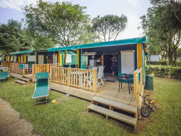 Lodgetent Woody 1