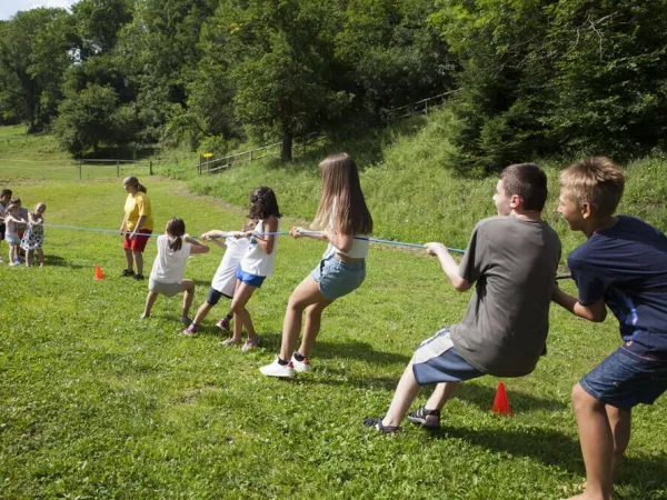 Touwtrekken bij Roan camping Bella Austria.