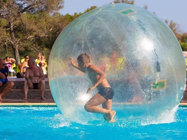 Waterbal activiteit op Roan camping La Pierre Verte.