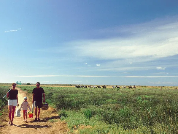 Wandelend gezin buiten de Roan camping Les Sablines.