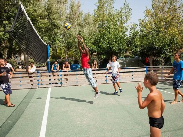 Volleybal op multi sport veld bij Roan camping Les Sablines.