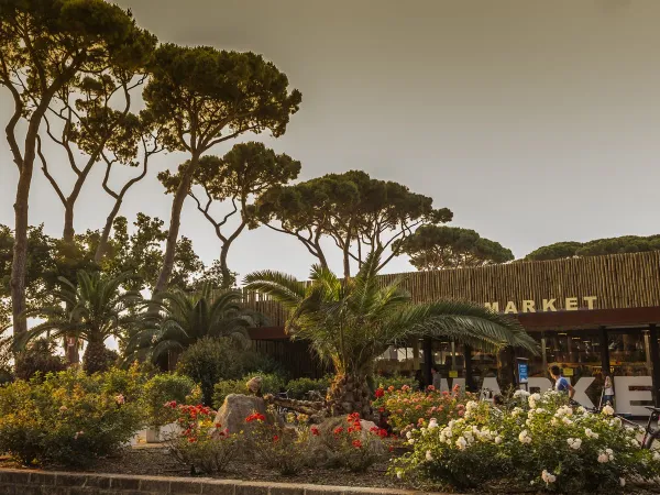 Supermarkt op Roan camping hu Park Albatros village.