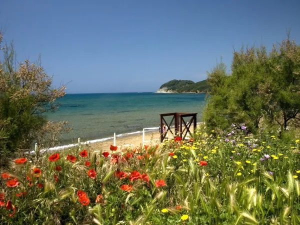 Strand en zee dichtbij Roan camping hu Park Albatros village.