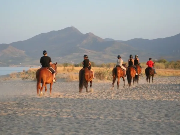 Paardrijden in de omgeving van Roan camping La Sirène.