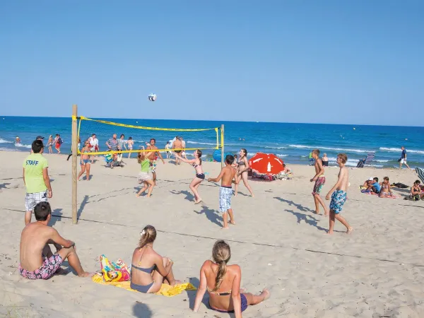 Beachvolleybal bij Roan camping Beach Garden.