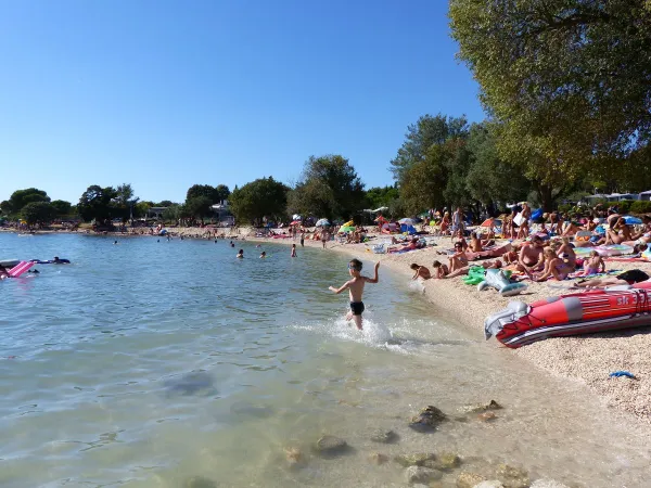 Levendige strand van Roan camping Polari.