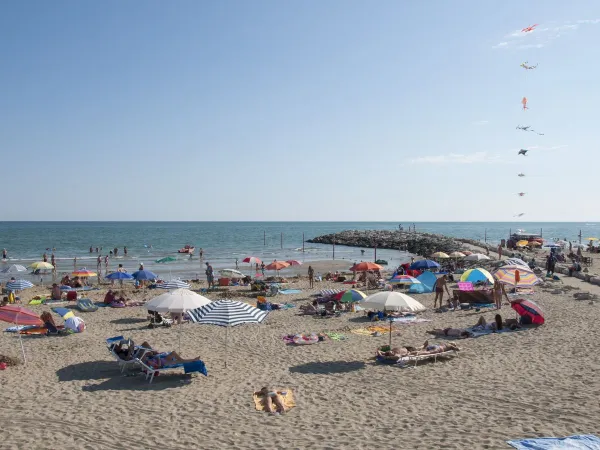 Levendig strand dichtbij roan camping Sant Angelo.