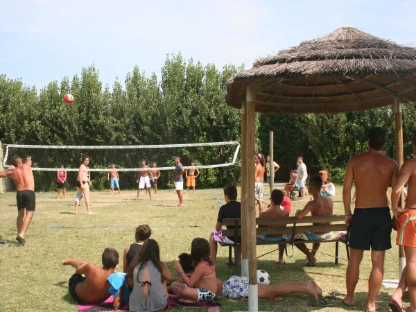 Volleybalveld op Roan camping Tahiti.