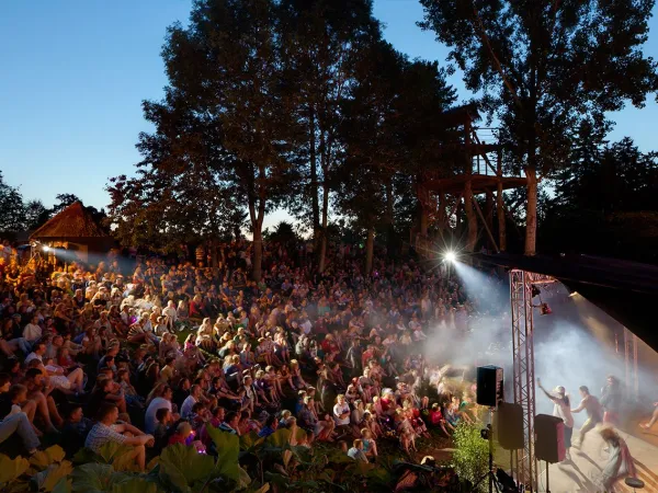 Gezellige avondshow op Roan camping des Ormes.