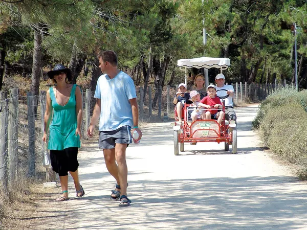 Familie fietsen huren bij Roan camping Le Domaine du Clarys.