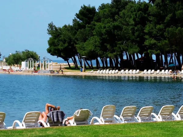 Ligbedden bij het strand dichtbij Roan camping Stella Maris.