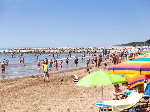 Levendig strand bij Roan camping San Francesco.