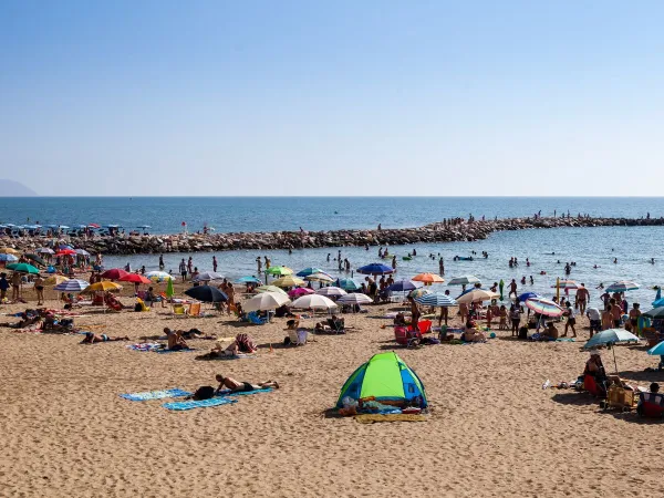 Strand dichtbij Roan camping Park Albatros.