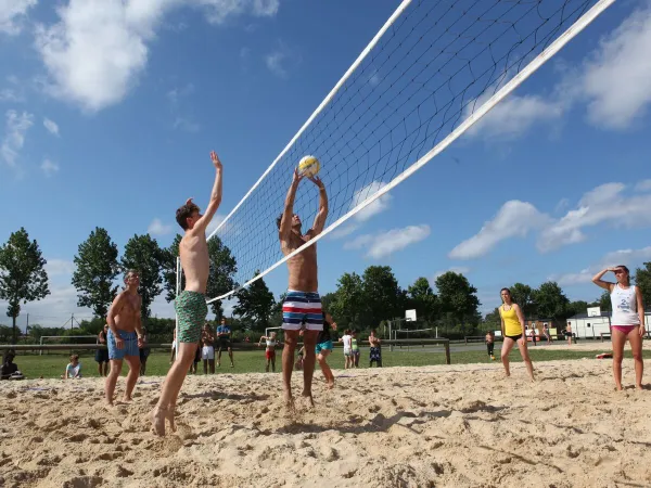 Beachvolleybal bij Roan camping Le Vieux Port.