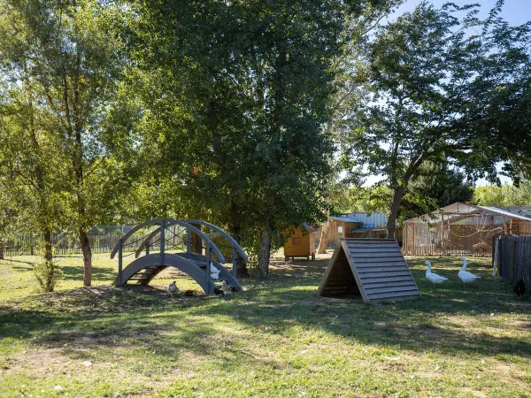 Omgeving bij Roan accomodaties op camping La Sardane.