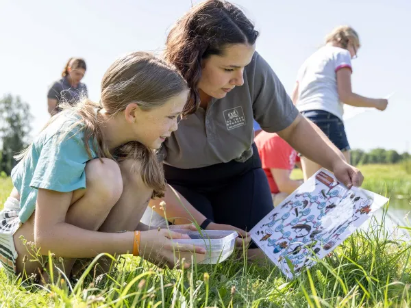 Speurtocht op Roan camping De Twee Bruggen.