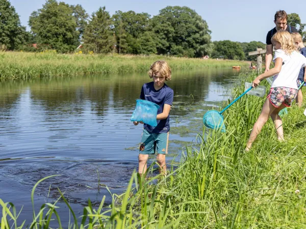 Activiteiten in de Slinge op Roan camping De Twee Bruggen.