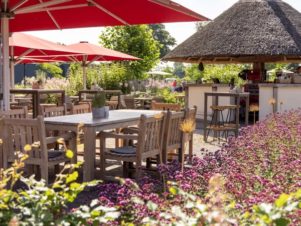 Buitenbar met terras bij Roan camping De Twee Bruggen.