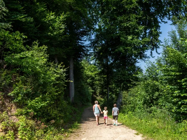 Wandelroute in de omgeving van Roan camping Birkelt.