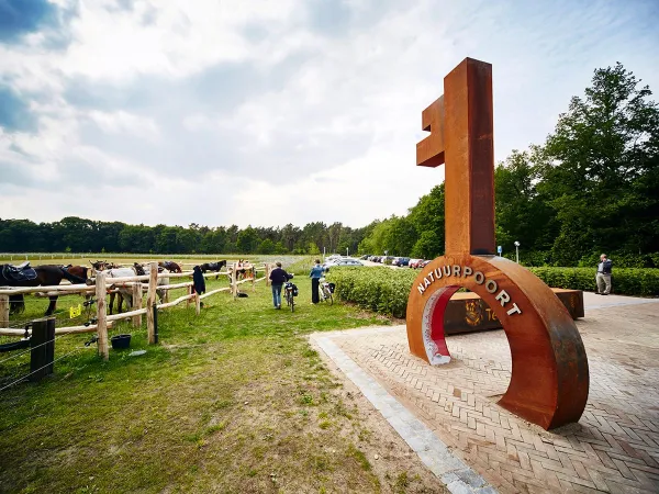 Natuurpoort bij Roan camping Terspegelt.