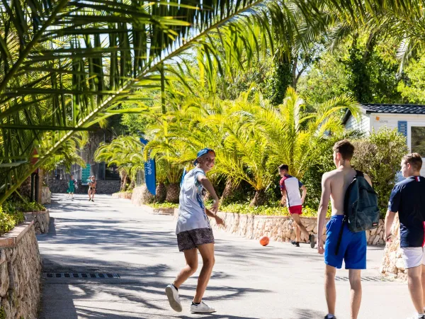 Een wandelpad bij Roan camping Vilanova Park.