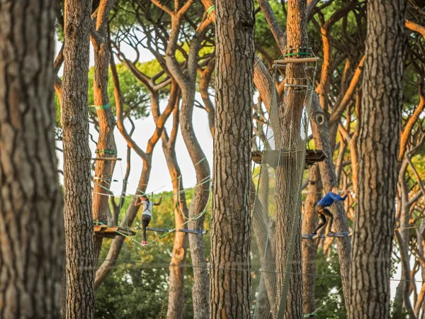 Boomklim parcours op Roan camping Park Albatros.