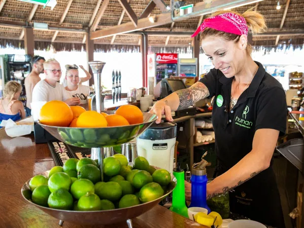Verse smoothie op Roan camping hu Park Albatros village.