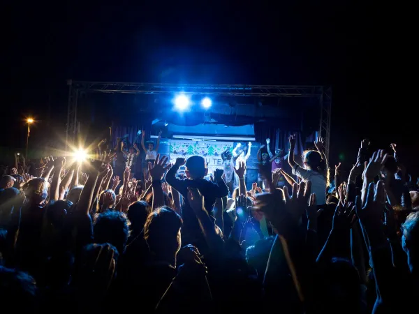 Disco avond op Roan camping hu Park Albatros village.