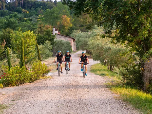 Mountainbiken in de omgeving van Roan camping hu Norcenni Girasole village.