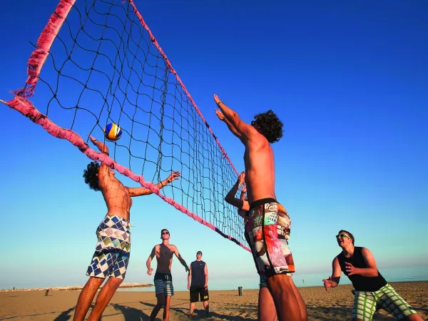 Volleybalveld op Roan camping Mediterraneo.