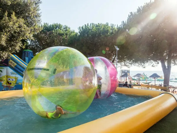 Aquabubble activiteit bij Roan camping Park Umag