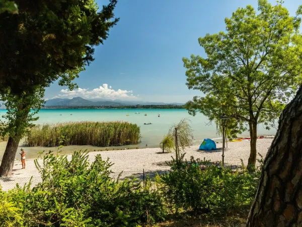 Wandel boulevard bij Roan camping Bella Italia.