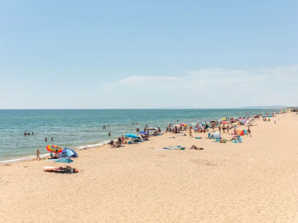 Levendig zandstrand bij Roan camping Méditerranée Plage.