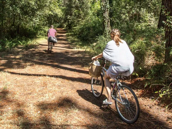 Fietsen in de omgeving van Roan camping Sole Family Camping Village.