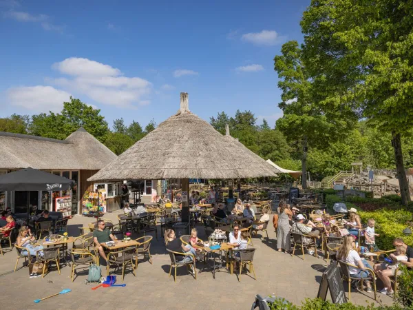 Levendig terras op Marvilla Parks Kaatsheuvel.