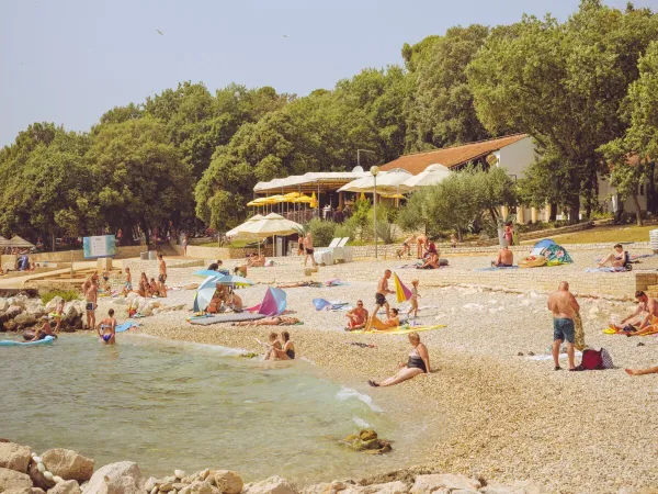 Sfeerbeeld strand bij Roan camping Zelena Laguna.