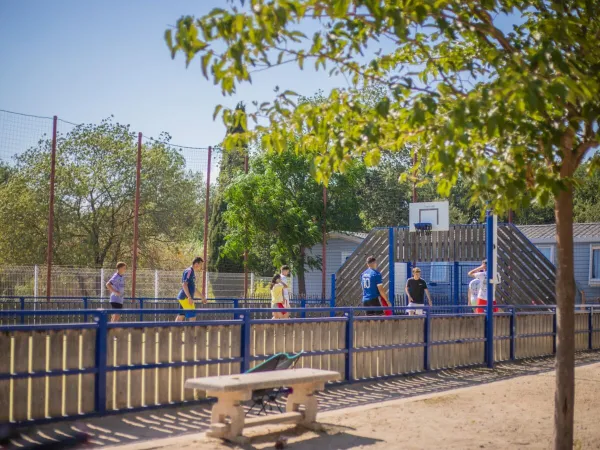 Basketballveld bij Roan camping La Sardane.