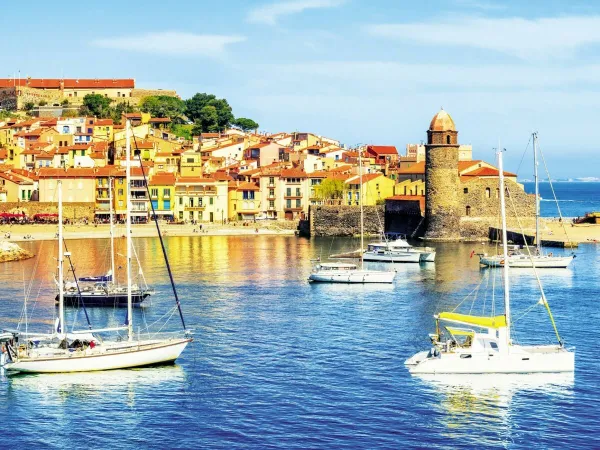 Le Port de Collioure bij Roan camping Les Dunes.