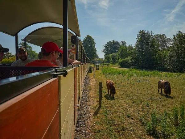 Een treintje in de omgeving van Roan camping Le Chêne Gris.