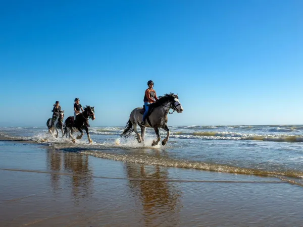 Paardrijden in de buurt van Roan camping Atlantic Montalivet.