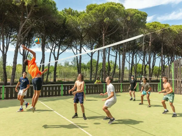 Volleyballen bij Roan camping Le Castellas.