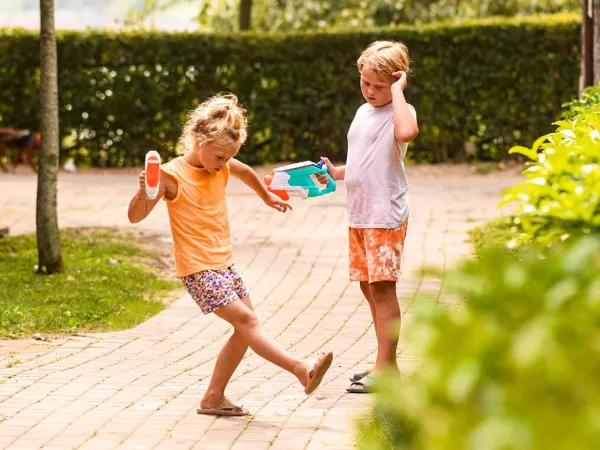 Spelende kinderen bij Roan camping Chardons Bleus.