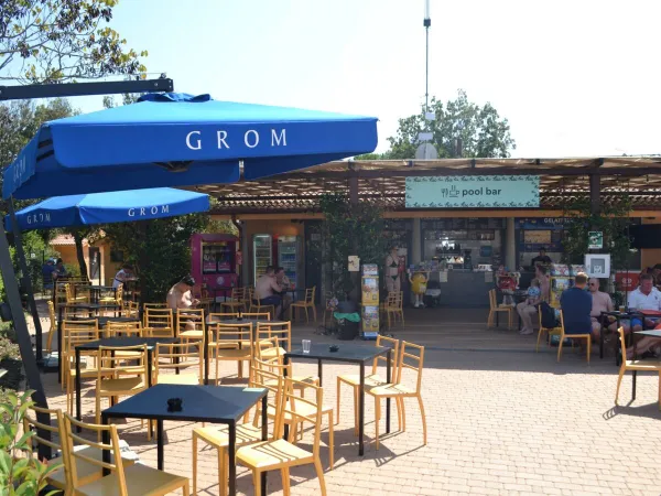 De poolbar op Roan camping hu Montescudaio village.