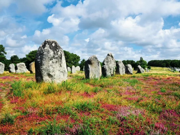 Prachtige omgeving bij Roan camping Grande Métairie.