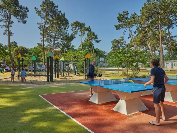 Tafeltennissen bij Roan camping La Pinède.